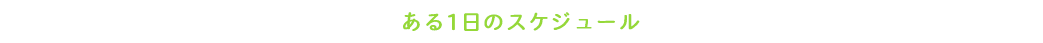 ある1日のスケジュール