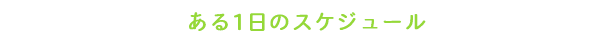 ある1日のスケジュール